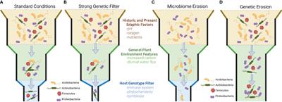 Application of plant extended phenotypes to manage the agricultural microbiome belowground